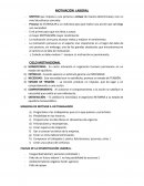 MOTIVACION LABORAL