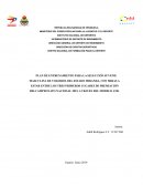 PLAN DE ENTRENAMIENTO PARA LA SELECCIÓN JUVENIL MASCULINA DE VOLEIBOL