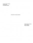 Descripcion del medio ambiente