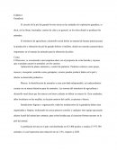 Cadena productiva del cuero