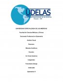 Análisis Visual - MÉTODO ANALITICO