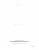 PRACTICA PEDAGÓGICA INTEGRAL E INVESTIGATIVA