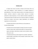 Ensayo Sistema óseo