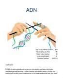 ADN, experimento en fresa