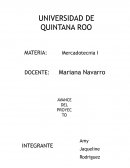 Plan de mercadotecnia Distribuidora Merry’s