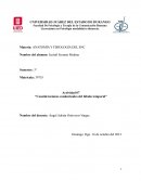 Consideraciones conductuales del lóbulo temporal