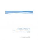 Caso Electrolitos. Unidad 2 de sistemas de información para la administración de proyectos