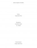 Informe Comparativo de Variables