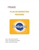 PLAN DE MARKETING PEDIGREE