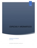 Especias y aromáticos