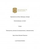 Electroquímica y técnicas (Cronoamperometría y voltamperometría)