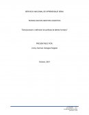 Estructuración y definición de políticas de talento humano