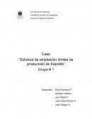 Caso “Solicitud de ampliación límites de producción de Kapolito”