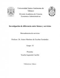 Investigación de diferencia entre bienes y servicios. Mercadotecnia de servicios. Página 1