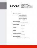 Segundo Avance Proyecto Final