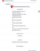 Proyecto empatico personal