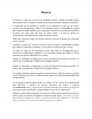 HISTORIA como disciplina social