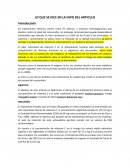 LO QUE SE DICE EN LA EXPO DEL ARTICULO