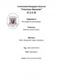 Tecnica QQQ Video Porque nos engaña el cerebro.