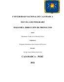 DIRECCIÓN DE PROYECTOS