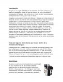 El Nacimiento de la subcultura de Harajuku