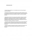 Monografía Cuenca del Amazonas