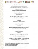 Plan de trabajo de servicio social