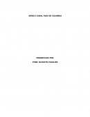 PROYECTO VOCES DE MI COSTA