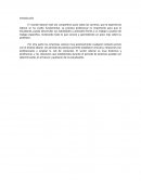 Importancia de Practica Profesional