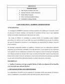 CASO PARACTICO 1: BARBER CARDIOSYSTEMS