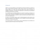 Introduccion a gestion de proyectos . Empresa FHOrte