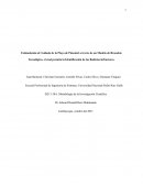 Brazalete Tecnologico Cuidadeo de Playas