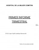 HOSPITAL DE LA MUJER COMITÁN PRIMER INFORME TRIMESTRAL