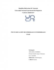 PNF EN EDUCACIÓN MULTIMODALES E INTERMODALES. Página 1