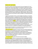 HISTORIA DEL DOWSIZING