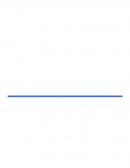 Ensayo Cadenas de Markov