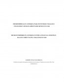 MICROEMPRESAS EN ANTIOQUIA PARA ENCONTRAR UN BALANCE FINANCIERO Y HUMANO