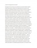 El lenguaje de las neuronas