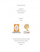 Teoría general de sistemas