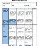 RUBRICA EVALUACIÓN ARTES VISUALES