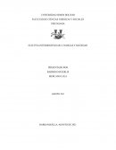 Reseña: “EL CONCEPTO DE FAMILIA EN COLOMBIA: UNA REFLEXIÓN BASADA EN LOS APORTES DE LA ANTROPÓLOGA VIRGINIA GUTIÉRREZ SOBRE LA FAMILIA COLOMBIANA EN EL MARCO DE LA DOCTRINA CONSTITUCIONAL”