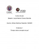 Evidencia 1 cultura de paz "Ensayo de la cultura de paz"