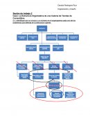 La Estructura Organizativa de una Cadena de Tiendas de Comestibles