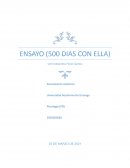 500 dias con ella. Ensayo