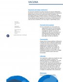 LA BUSQUEDA DE UNA VACUNA