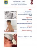 PEDIATRIA. Mancha Mongólica. Anomalías congénitas a nivel de cuello