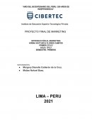 Proyecto de Marketing PATITAS