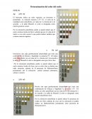 PRÁCTICA COLOR SUELO