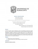 Laboratorio de Química Orgánica Avanzada