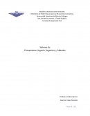 Informe de Pensamiento, Ingenio, Ingeniero y Métodos